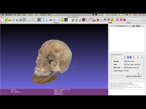 3D mesh simplification/decimation with MeshLab