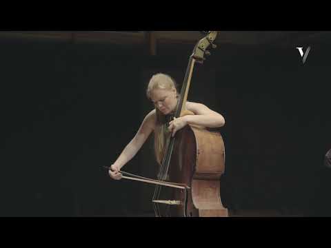 Haydn - Divertimento: Played by Phoebe Russell, Double Bass. (Mov. 2)