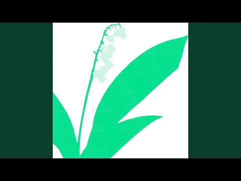 Video thumbnail for CVS on a Walk