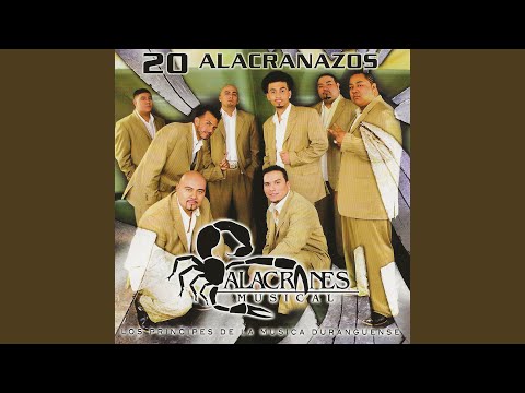 Un Idiota - Alacranes Musical