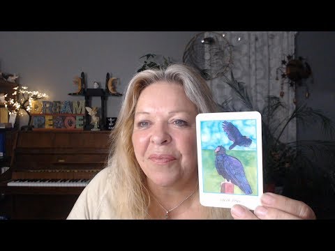 Your Daily Focus for August 12, 2019 through Tarot, Numerology and Astrology