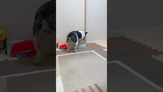 探し物は何ですか？