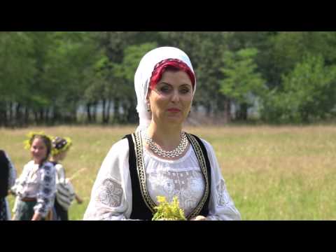 DANIELA TARNAUCEANU  - TI-AM SPUS BADE TU NU CREZI