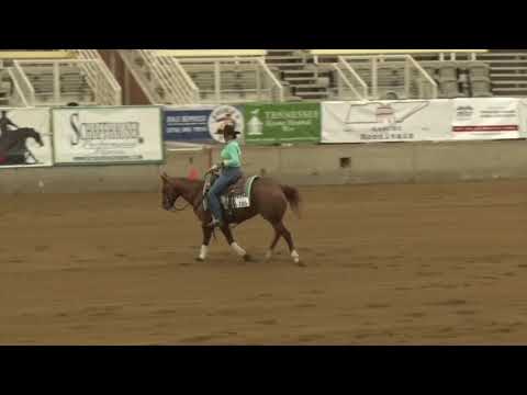 211023 Green Heather Marks on Shiney Chexy Chic