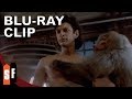 The Fly Collection - The Fly (1986) - Clip: Successful Teleportation (HD)