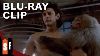 The Fly Collection - The Fly (1986) - Clip: Successful Teleportation (HD)