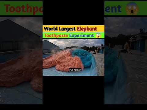 World largest Elephant toothpaste Experiment 😱#shorts #shortsvideo