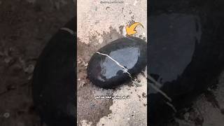 من حجر... إلى دولارات!