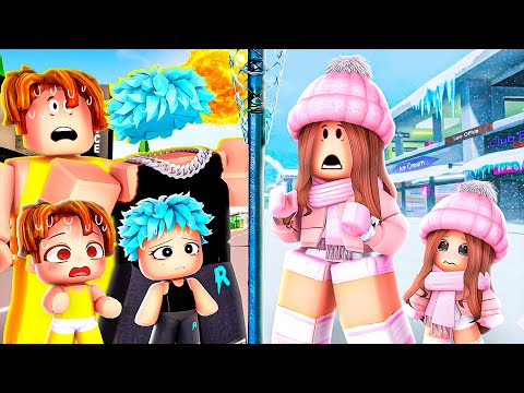 The Border Splits SUMMER and WINTER..(Brookhaven)