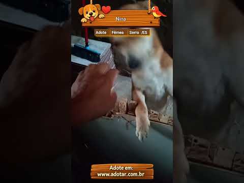 Vídeo de Nina