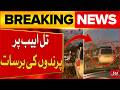 Tel Aviv Sky Filled With Birds Stunning Footage Iran Massive Attack Update BOL News