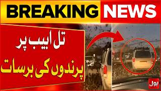 Tel Aviv Sky Filled With Birds | Stunning Footage! | Iran Massive Attack Update | BOL News