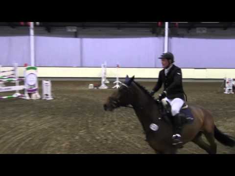 Sportpferde-ASG - Horse Gym's Concord SPR L Halle