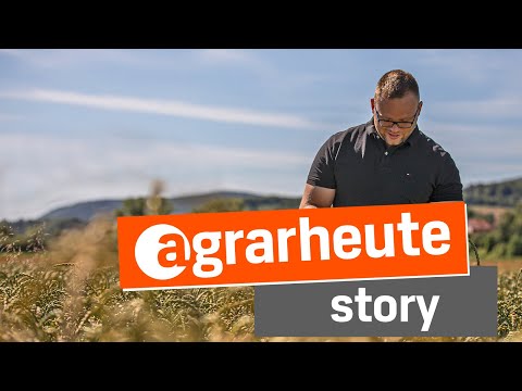 Dinkelanbau in der Fruchtfolge