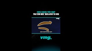 자르고 잘라도 무한 재생? 70년 만에 풀린 ‘플라나리아’의 비밀 / 비디오머그 #shorts