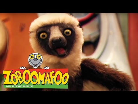🐒 Zoboomafoo 🐒 115 | Fling - Full Episode | Kids TV Shows