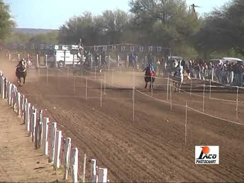 PRECIOSA PANGARE 20 08 2017