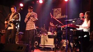 "Wee Baby Blues" Dave Specter BCN 2010