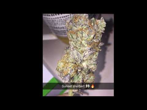 Friday Night Nature Smoke Sesh