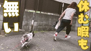 休みでも大忙し！😭