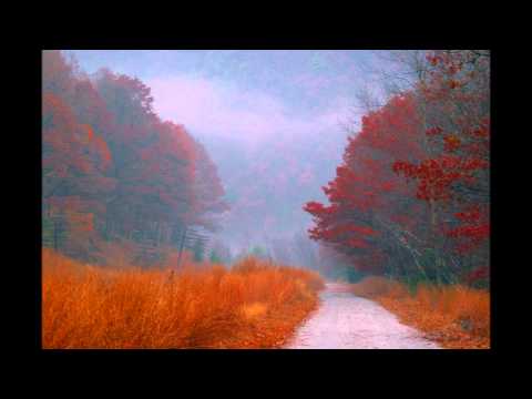 Dorota Ślęzak - Przyszłam po kolor