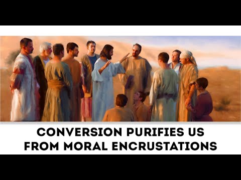 Luke 15:1-10 ( November 7, 2024 ) Daily Catholic Gospel Reading & Reflection ( Conversion Purifies )