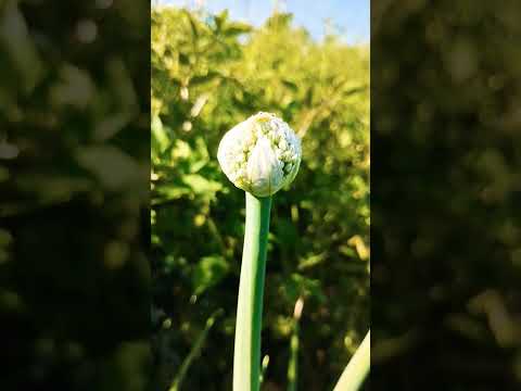 Kisan Bhai😘 🫂❣️popular and trending in Instagram ...Popular Hashtags Best for #trains 2023 are