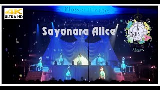 Flower - Live Tour 2015 &quot;Hanadokei&quot; - さよなら、アリス - Sayonara Alice [4K]