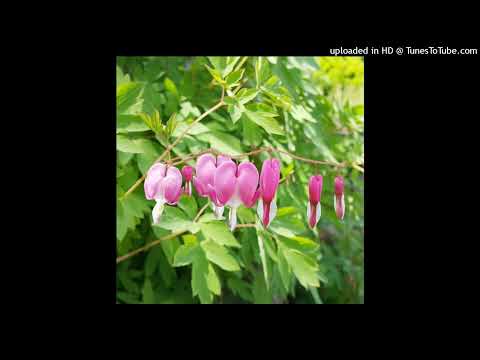 free! yurionline x xaviersobased x nosgov type beat (prod. georgepow)