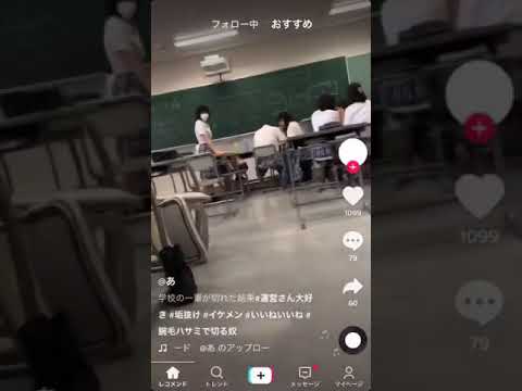 魚の劇的な無駄使い