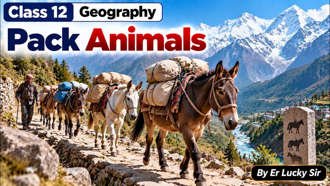 Pack Animals -  Class 12 Geography