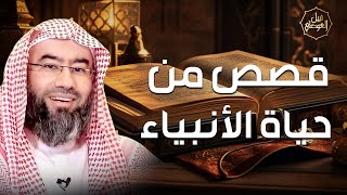 صورة نبيل العوضي | قصص من حياة الأنبياء كما لم تسمعها من قبل | ببث مباشر