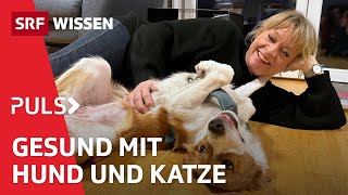 Hunde und Katzen: So positiv sind Haustiere für deine Gesundheit | Pul