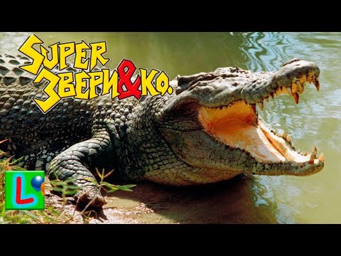 Deagostini Супер Звери и ко Макси ГРЕБНИСТЫЙ КРОКОДИЛ Деагостини распаковка Liska Show