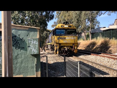 Pacific National Freight - 3PM6 - NR71, NR83