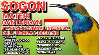 Download lagu  Sogon Materi Gantangan – Premium Performance Audio untuk Fokus, Stabilitas, dan Kerja Maksimal  mp3