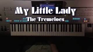 My Little Lady - The Tremeloes, Instrumental Cover, gespielt mit Titelbezogenem Style auf Tyros 4