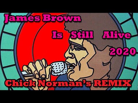 James Brown Is Still Alive / Holy Noise Feat. The Global Insert Project