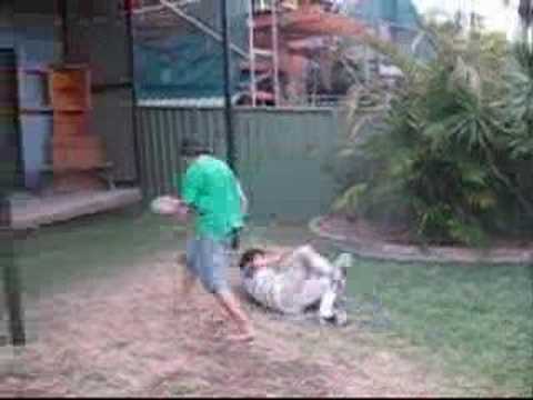 The Supreme Football Skills