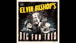 Elvin Bishop's Big Fun Trio