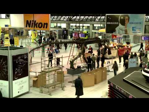 COME NASCE UN DINOSAURO