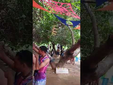 DJ LÓTUS NEGRA - HAPPINESS TRANCEFLOLIA (10/02/2024)