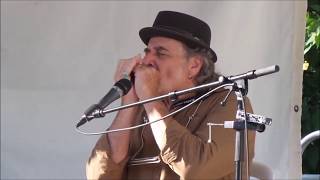 Al Lerman - Tribute to Sonny Terry &amp; Brownie McGhee