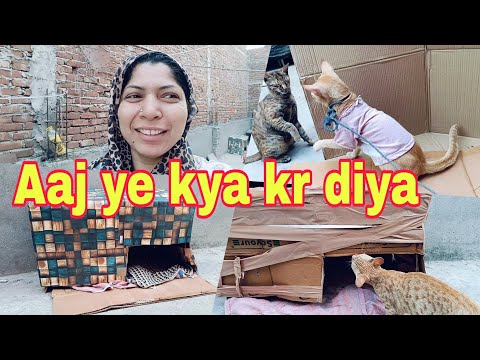 Aaj naya ghar bna diya || Aaj belu se pitt gye bacche || @Nafisakhanvlog