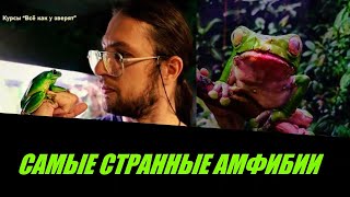 Александр Гатилов