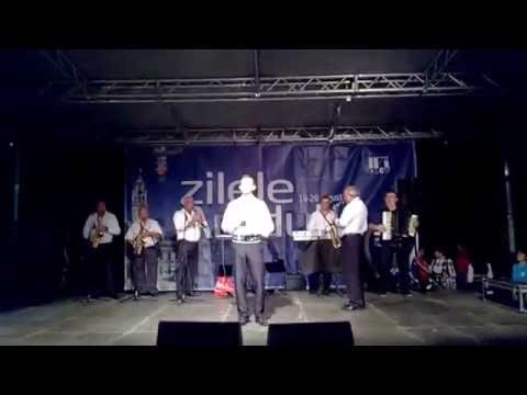 ZILELE ARADULUI 2016 - ADRIAN GANCEA - SAT FRUMOS SI LINISTIT