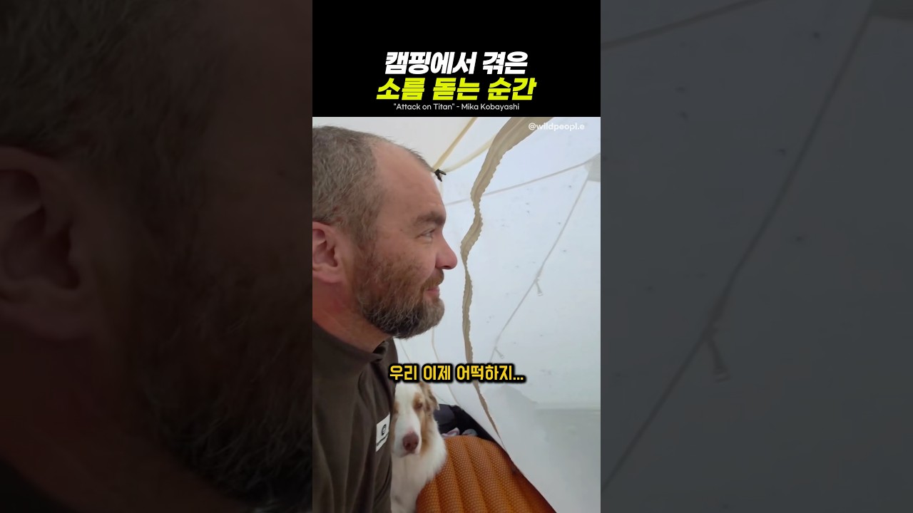캠핑에서 마주하는 낯선 소리와 순간