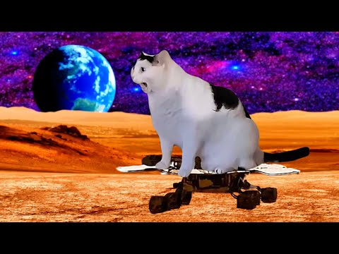 Cat Rockets to Mars on SpaceX Starship 🌍 Mars Rescue