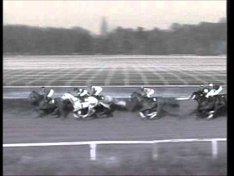 Galopprennbahn Dresden, 16.11.2011 - 2.Rennen