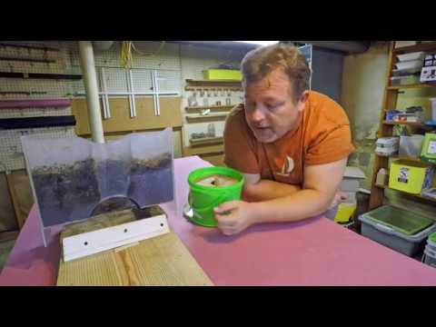 Emptying 3-Chamber Nursery Time-lapse Bin - vermicomposting